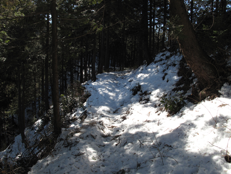 20180126hike (117)